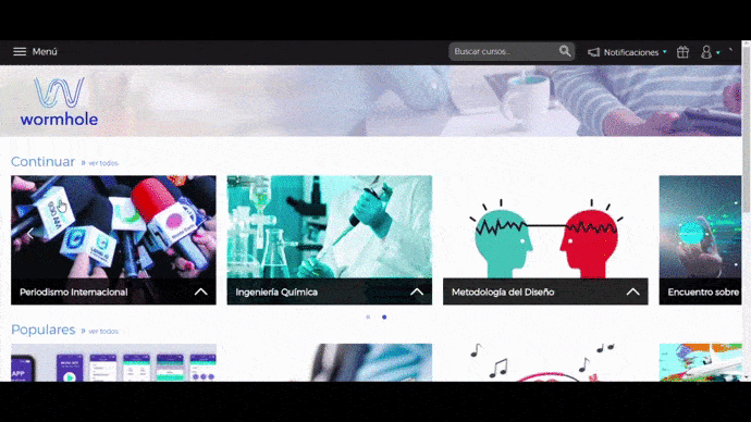 videohome.gif